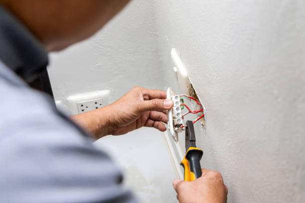 Best Electric Panel Repair  in Mccullom Lake, IL